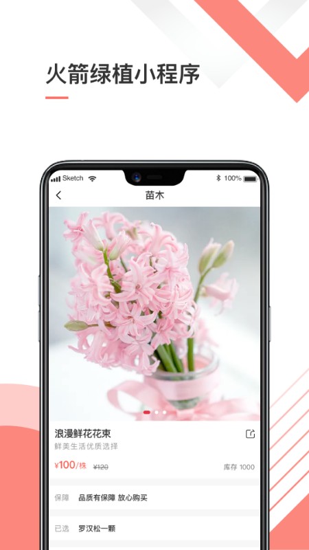 火箭绿植截图2