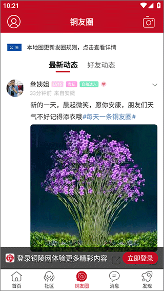 铜陵网截图3