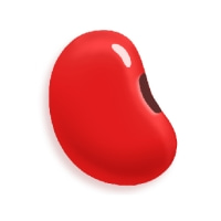 紅豆小說最新版