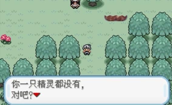 口袋妖怪火箭队截图1