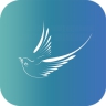 喜鹊儿安卓版