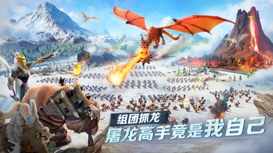 龙与纷争官方版截图1