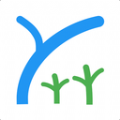why数理app