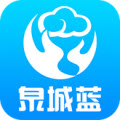 泉城蓝安卓版