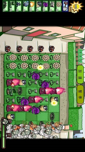 植物僵尸大对决手游最新版