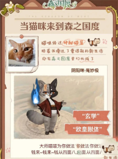 森之国度猫灵图册有什么用 森之国度猫灵图册作用详情介绍