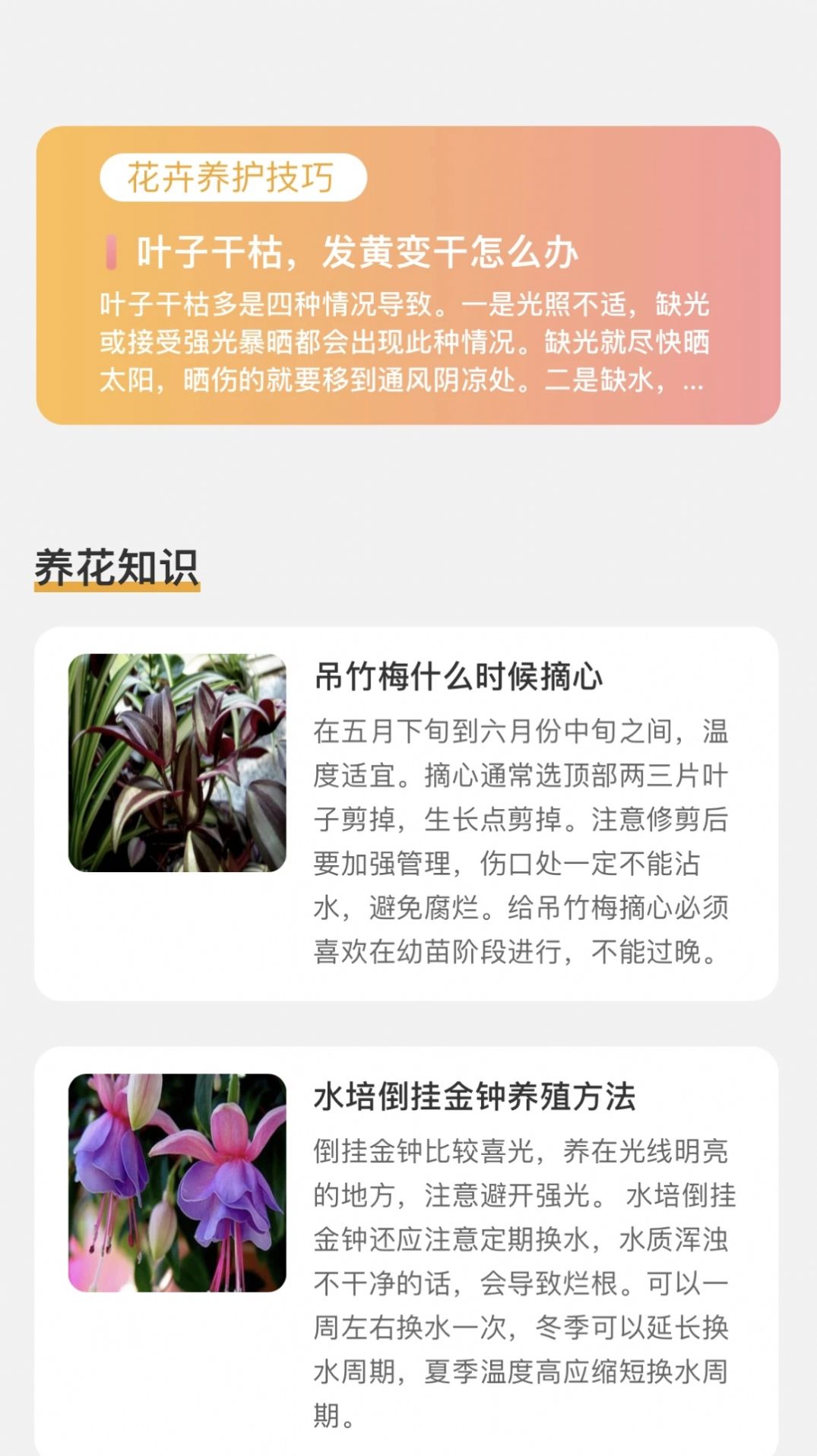 百花悦看app官方版截图2