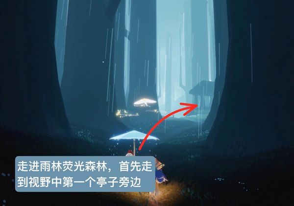 光遇雨林害羞先祖在哪？害羞先祖位置一览图片2