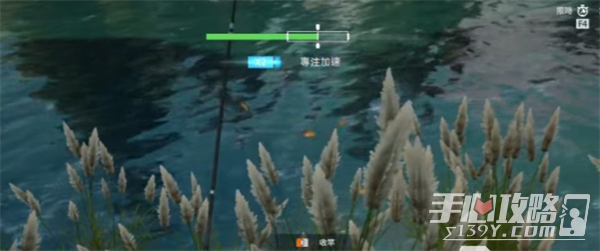 《星球重启》怎么养鱼