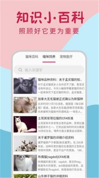 小猫翻译器截图2