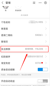 支付宝小荷包如何调整每月支出限额