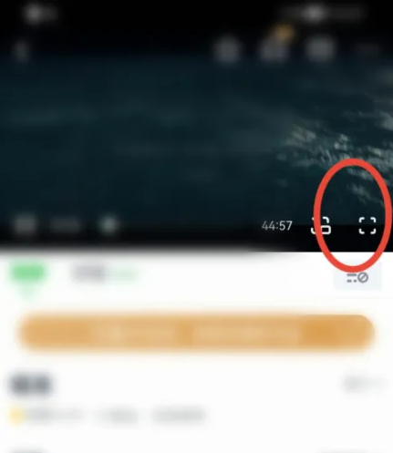 爱奇艺视频放大屏幕怎么弄