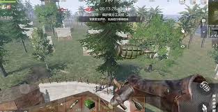 失控进化领地攻防怎么玩