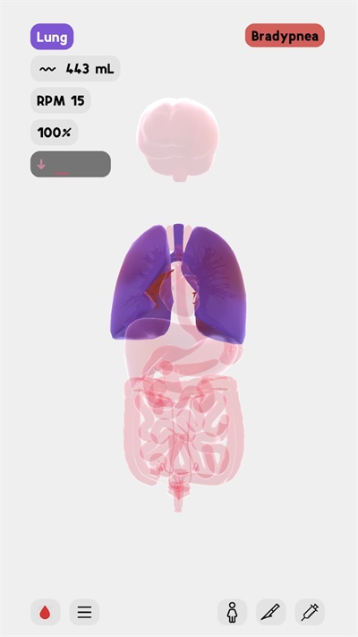 生命LIFE截图1