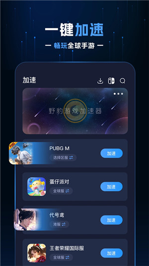 野豹加速器