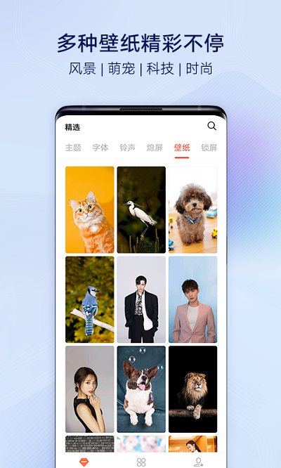 i主题手机版截图3