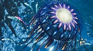 怪物猎人荒野全环境生物高清图鉴汇总