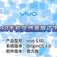 x60突然黑屏