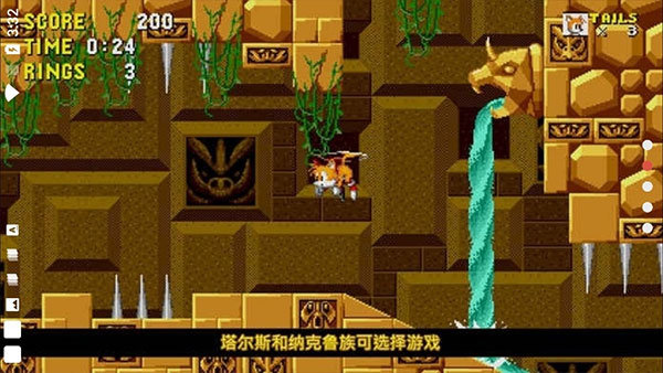 刺猬索尼克游戏截图2