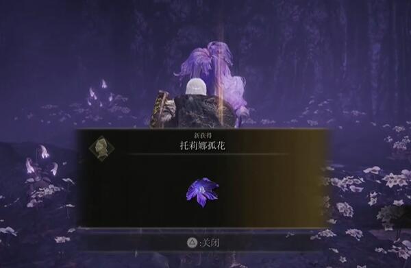 艾尔登法环dlc托莉娜孤花获得方法