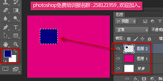 painte如何全选选区