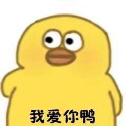 头像表情鸭截图2
