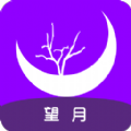 望月聊天交友app安卓版