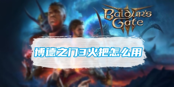 博德之门3火把怎么用