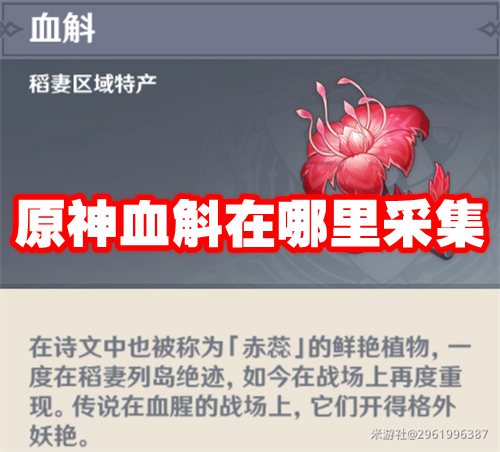 原神血斛在哪里采集