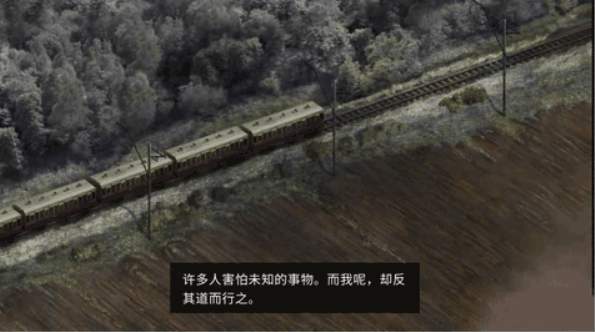 荒野探险