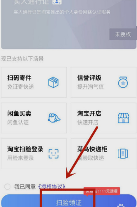 闲鱼实人通行证是什么