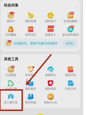 闲鱼实人通行证是什么
