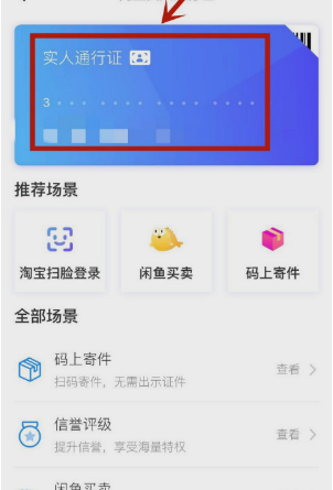 闲鱼实人通行证是什么