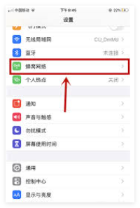 苹果手机怎么关闭正在使用移动流量改变语音质量