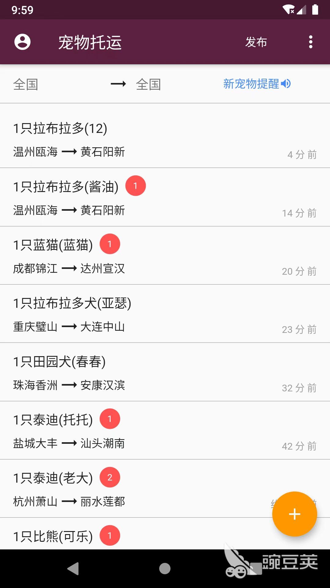 宠物托运平台app有哪些 输送安全的宠物托运平台软件分享