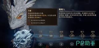龙息神寂选什么职业好