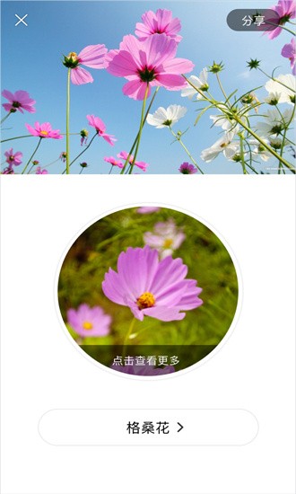 识花大师截图3