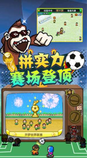 冠军足球物语2老版本截图2