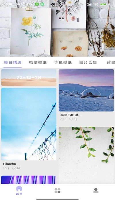派派壁纸最新版截图2