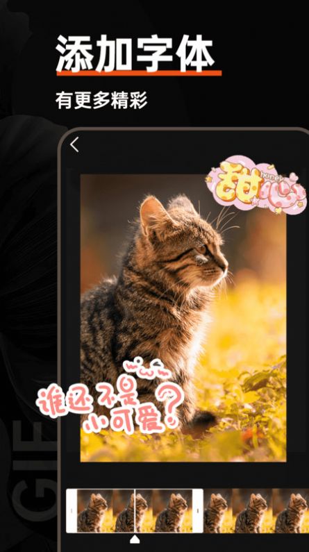 gif动图制作器app截图3