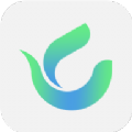 绿茶交友app甜蜜走心版