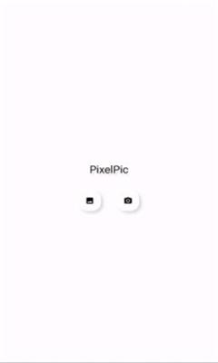 pixelpic免费版