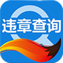 搜狐违章查询