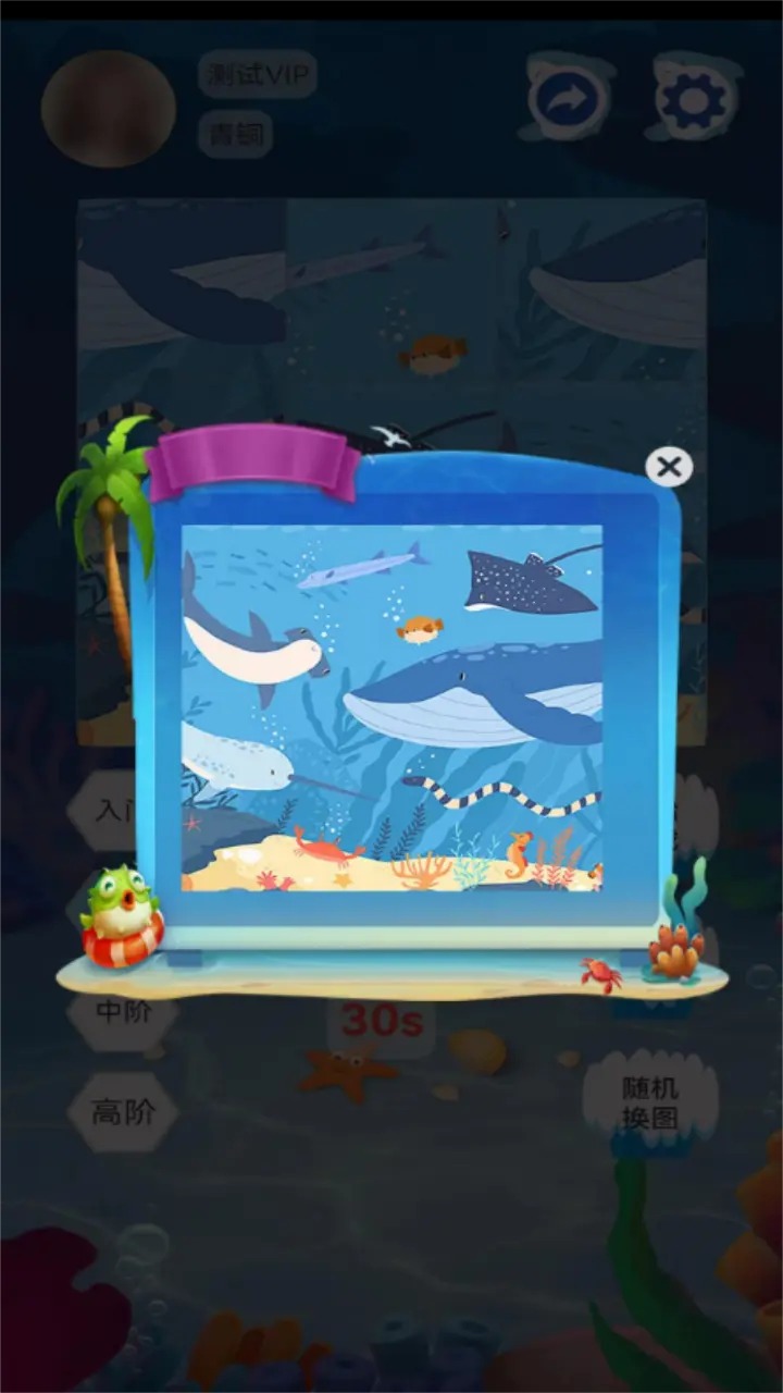 海洋生物图鉴正式版
