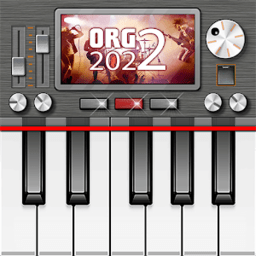 org2022汉化版