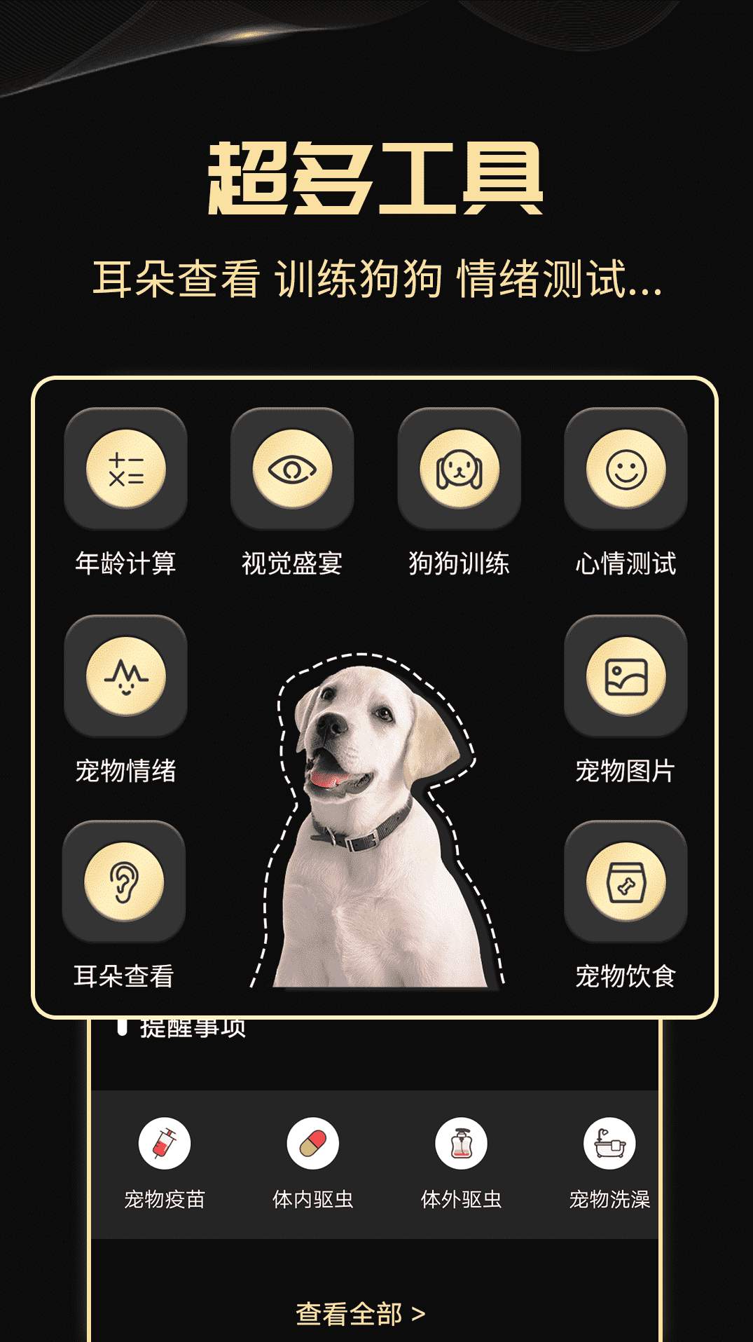 人狗交流神器截图2