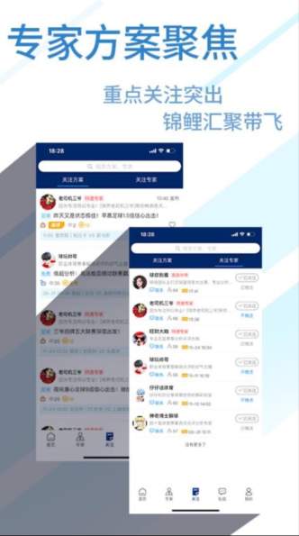 球进了