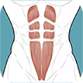 跟我练腹肌APP