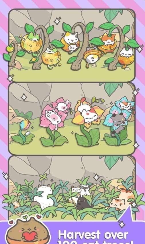 我的小猫贼好看