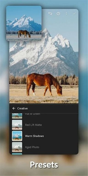 lightroom高级版截图2